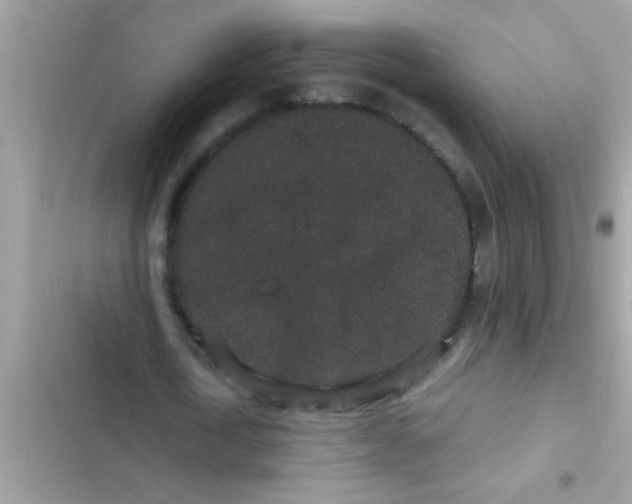 X0000102400722200808151942