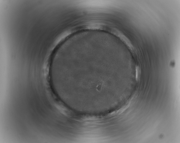 X0000102400723200808151942