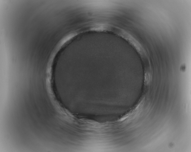 X0000102400724200808151942