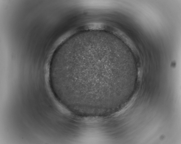 X0000102400725200808151942