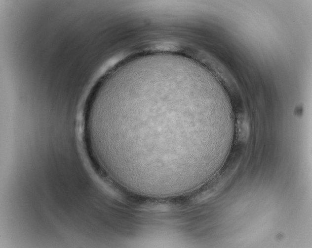 X0000102400726200808151942