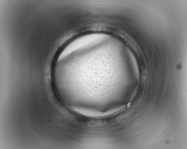 X0000102400727200808151942