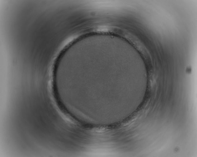 X0000102400728200808151942