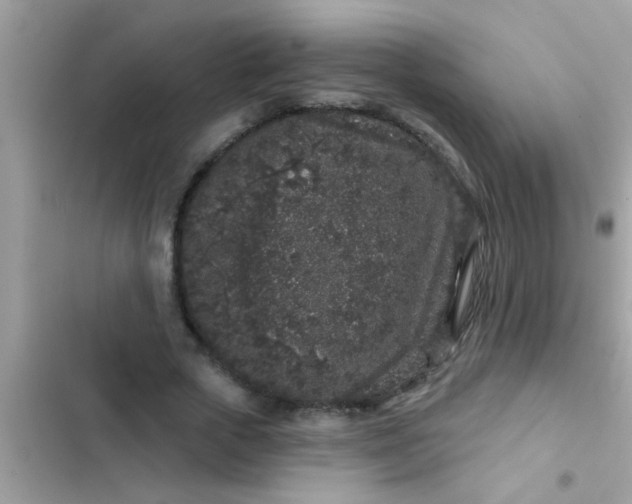 X0000102400729200808151942