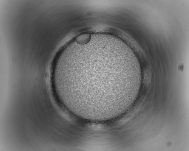 X0000102400730200808151942