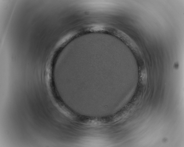 X0000102400732200808151942