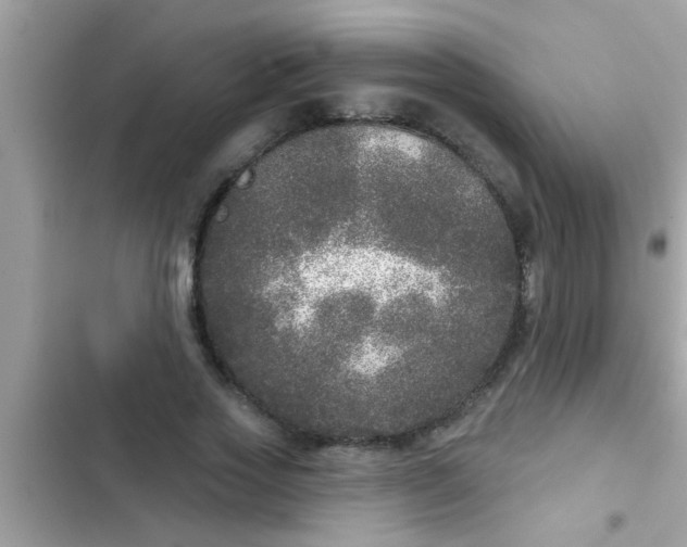 X0000102400733200808151942