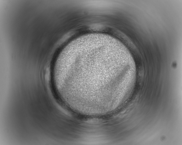 X0000102400734200808151942