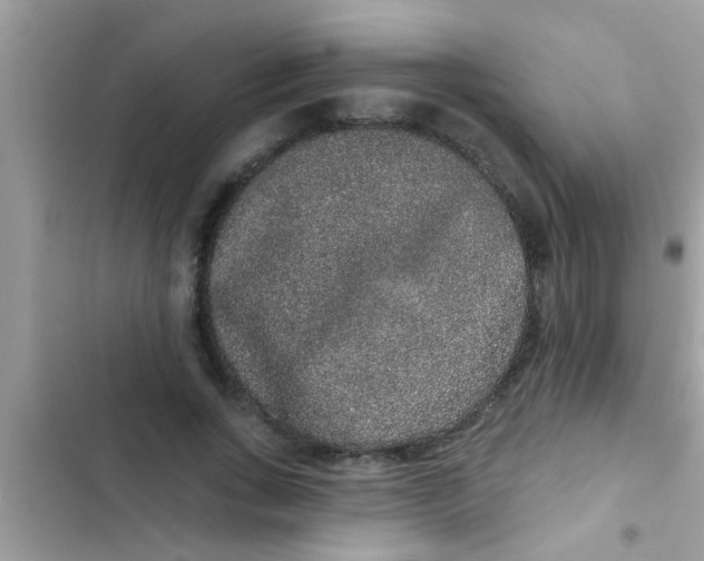 X0000102400735200808151942