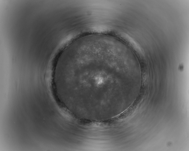 X0000102400736200808151942