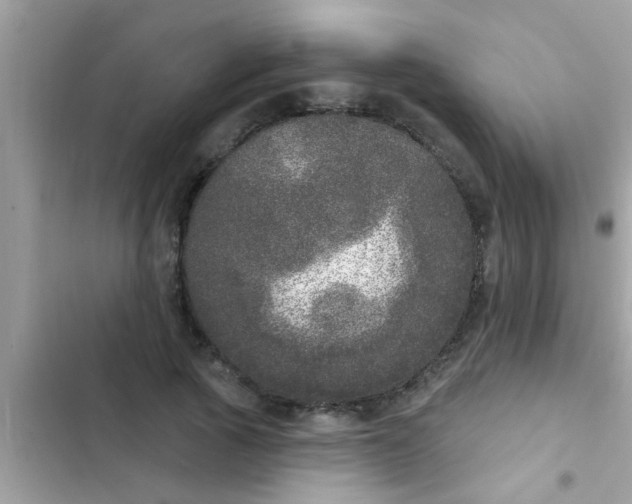 X0000102400737200808151942