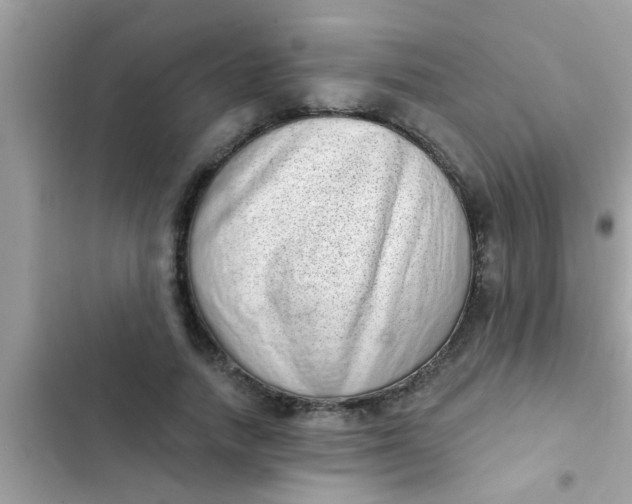 X0000102400738200808151942