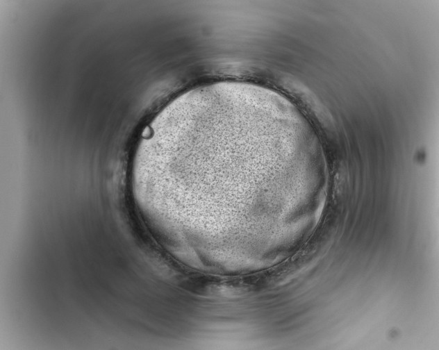 X0000102400739200808151942