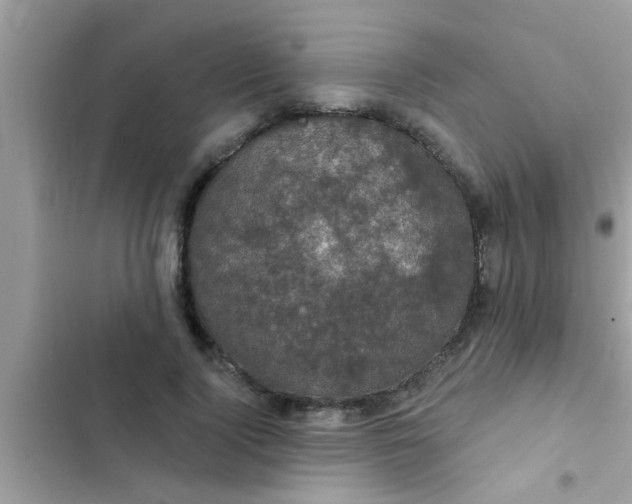 X0000102400740200808151942