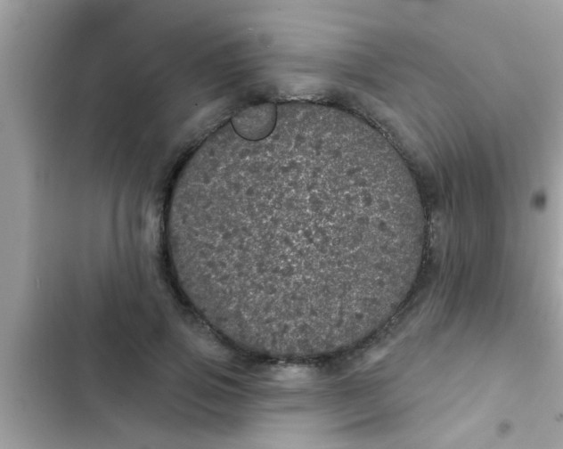 X0000102400741200808151942