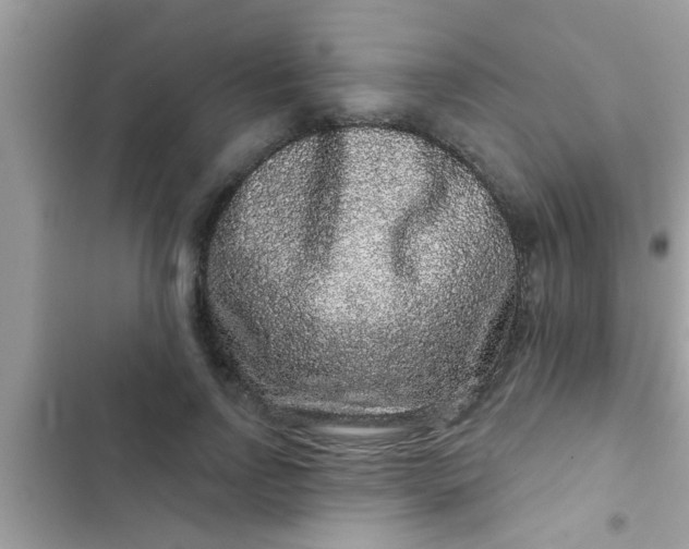 X0000102400742200808151942