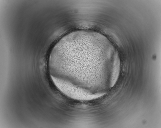 X0000102400743200808151942