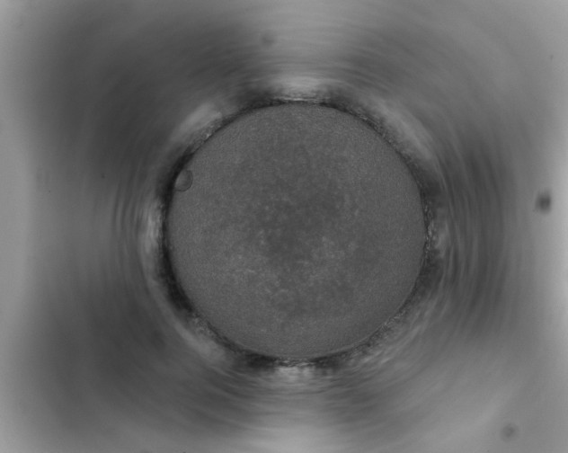 X0000102400744200808151942