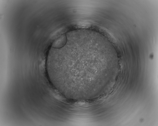 X0000102400745200808151942