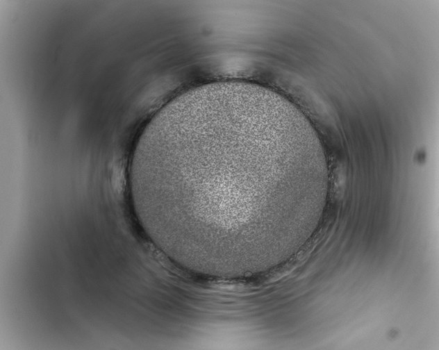 X0000102400746200808151942