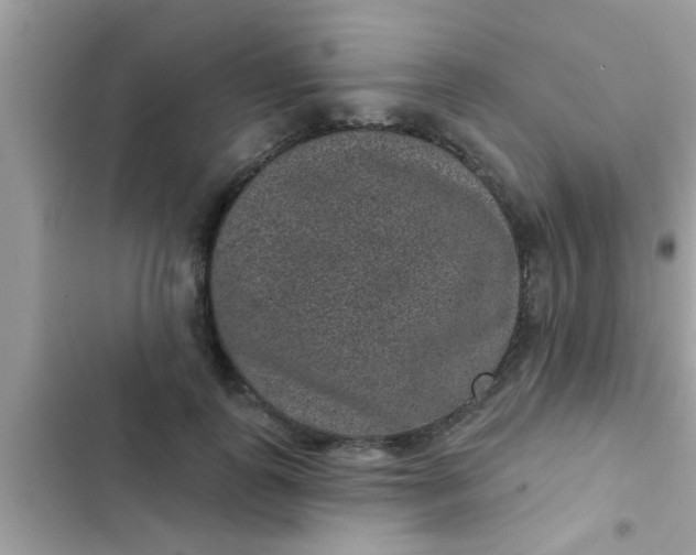 X0000102400747200808151942