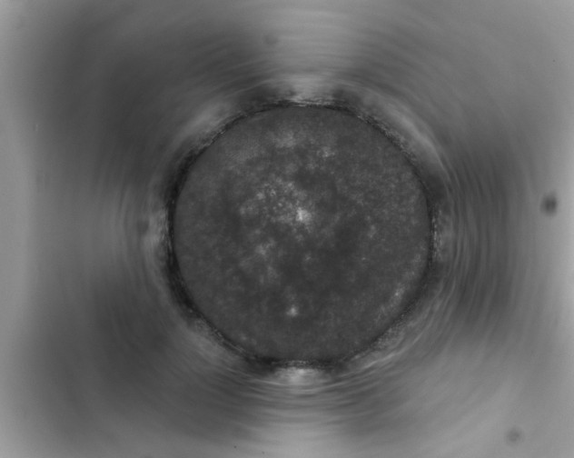 X0000102400748200808151942