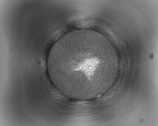 X0000102400749200808151942