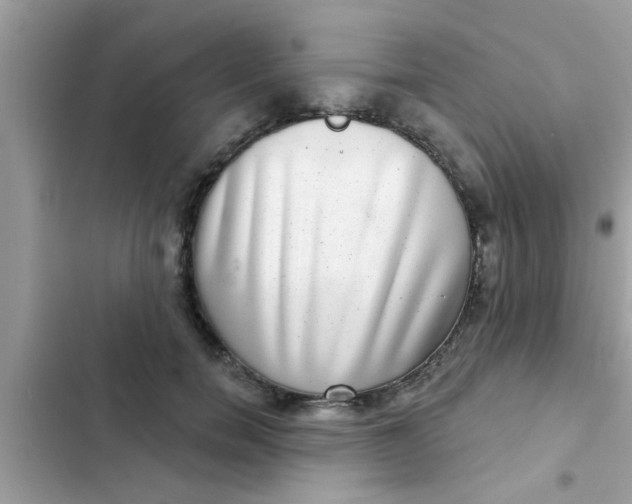 X0000102400750200808151943