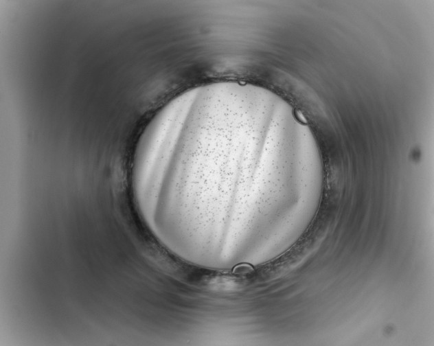 X0000102400751200808151943