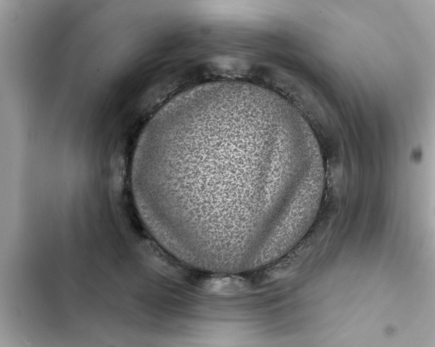 X0000102400752200808151943