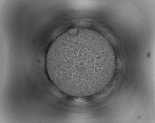 X0000102400753200808151943