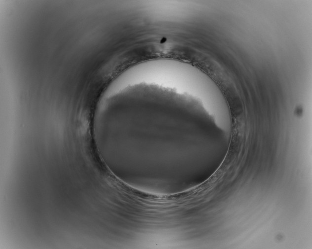 X0000102400754200808151943