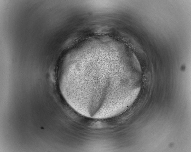 X0000102400755200808151943