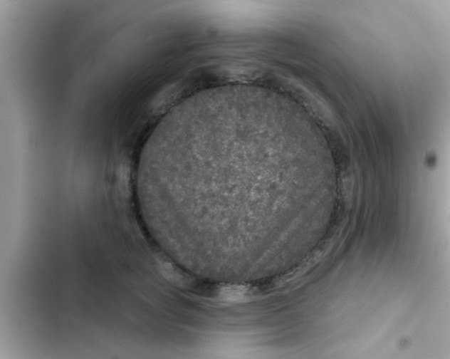 X0000102400757200808151943