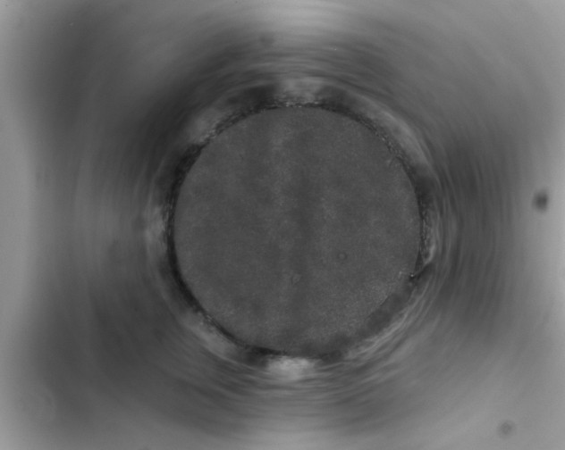 X0000102400759200808151943