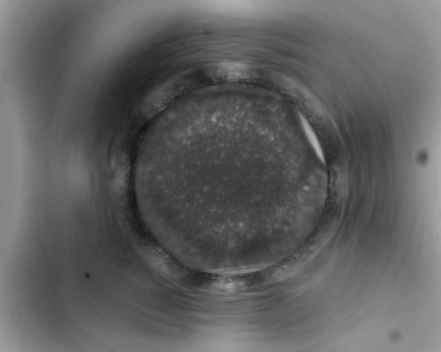 X0000102400760200808151943