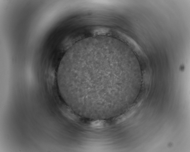 X0000102400761200808151943