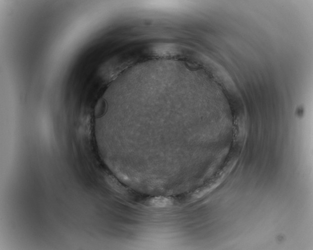 X0000102400762200808151943