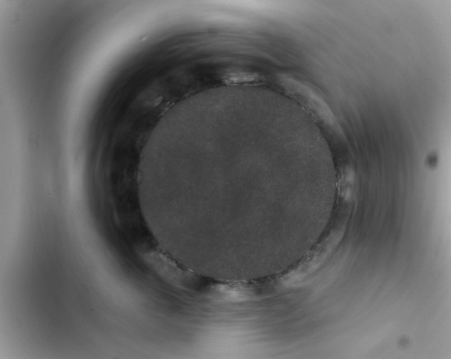 X0000102400763200808151943