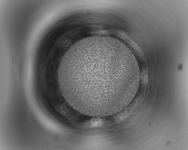 X0000102400764200808151943