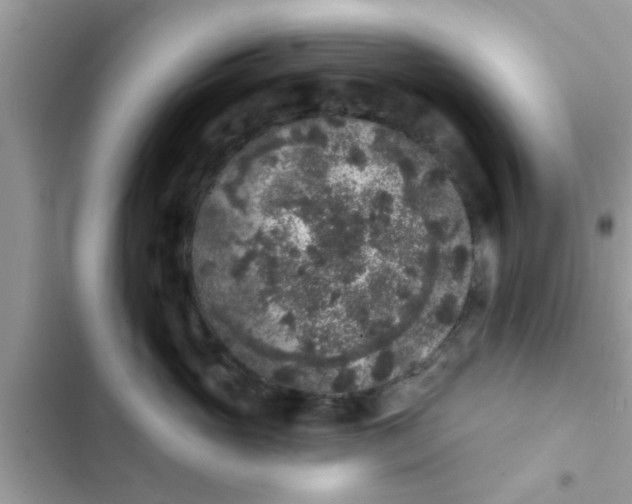 X0000102400765200808151943