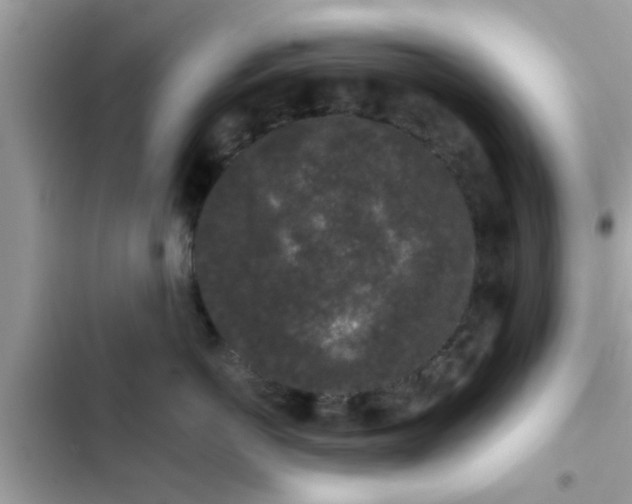 X0000102400766200808151943