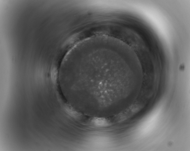 X0000102400767200808151943