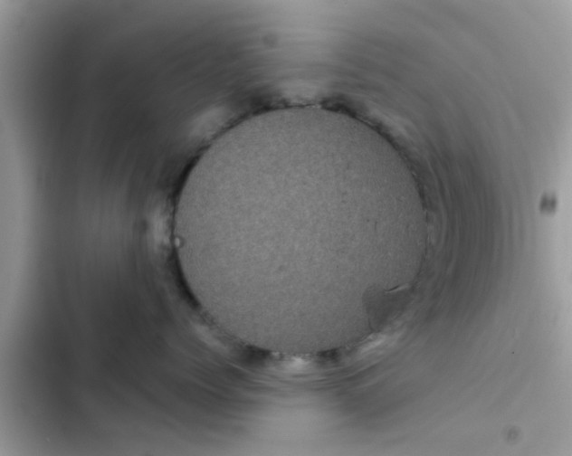 X0000102400768200808151943