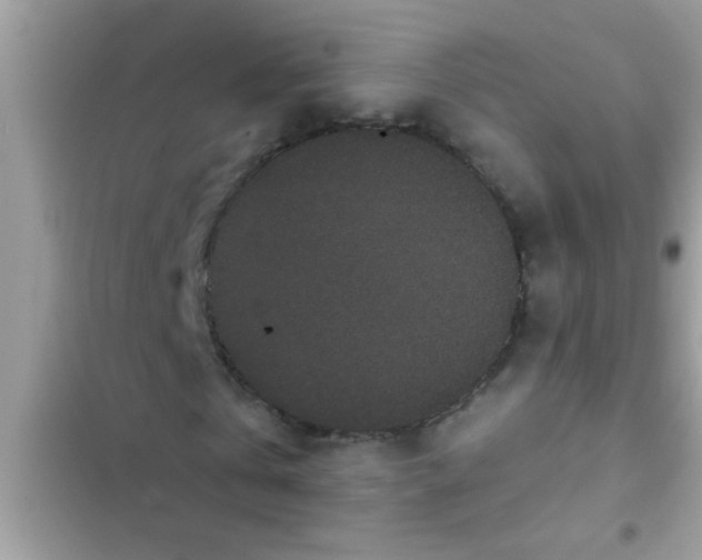 X0000102400769200808151942