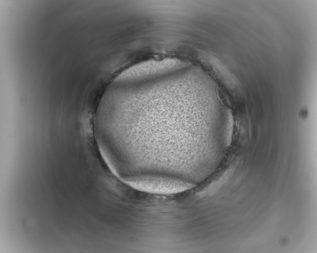 X0000102400770200808151942