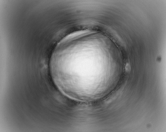 X0000102400771200808151942