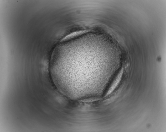 X0000102400772200808151942