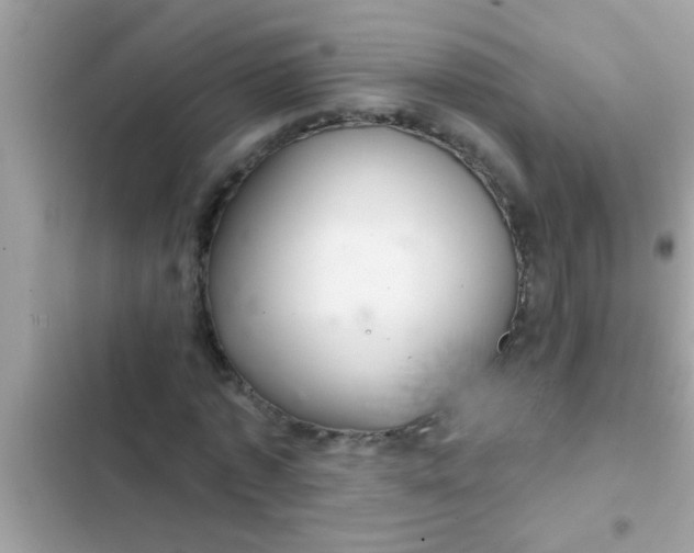 X0000102400773200808151942