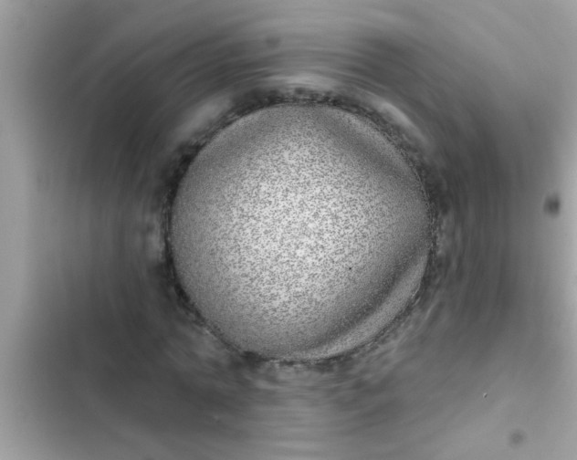 X0000102400774200808151942